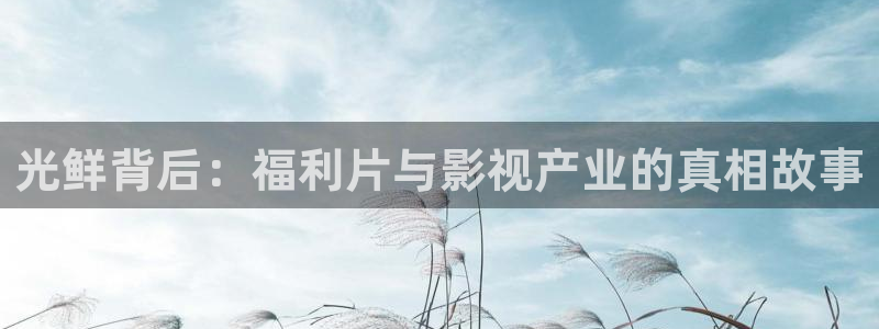 光鲜背后：福利片与影视产业的真相故事