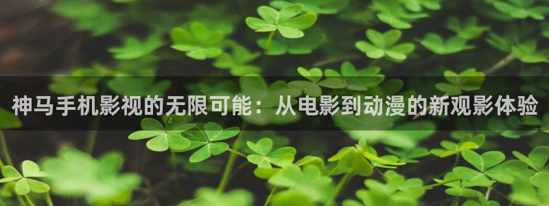 神马手机影视的无限可能：从电影到动漫的新观影体验