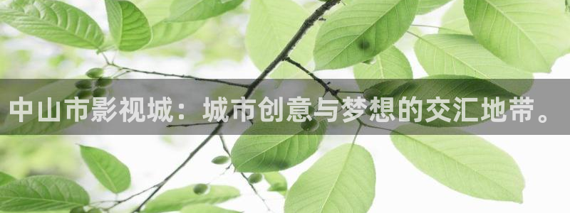 中山市影视城：城市创意与梦想的交汇地带。