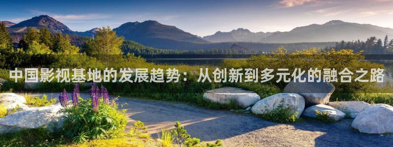 中国影视基地的发展趋势：从创新到多元化的融合之路